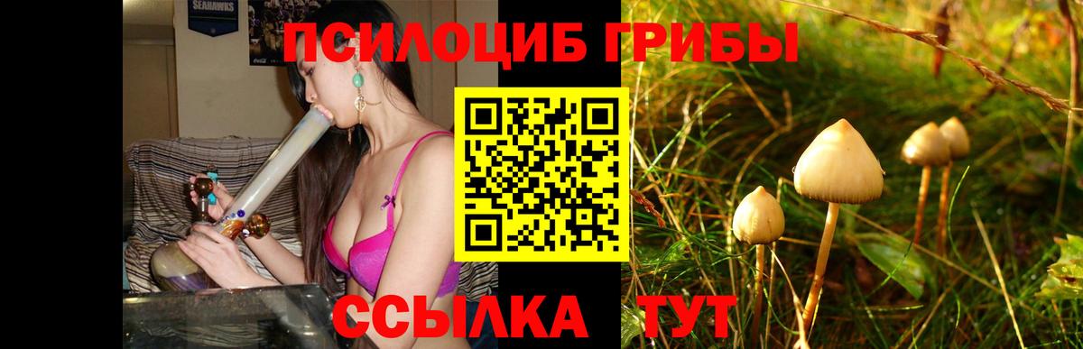 Галлюциногенные грибы Psilocybine cubensis  Вход с VPN  Среднеуральск 